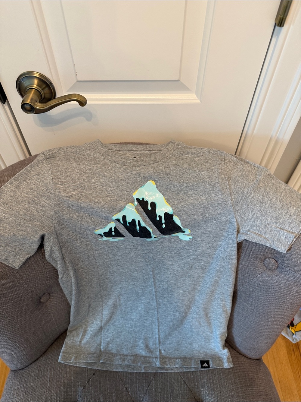 adidas Gray Tee with Mint and Black Mountain Graphic